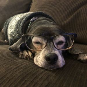 Meet your Posher, Lynn